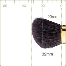 GL-5 | GS-5 : CHeek / Highlight brush