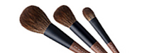 REN SERIES 3-brush set