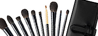 Z SERIES 10-brush set